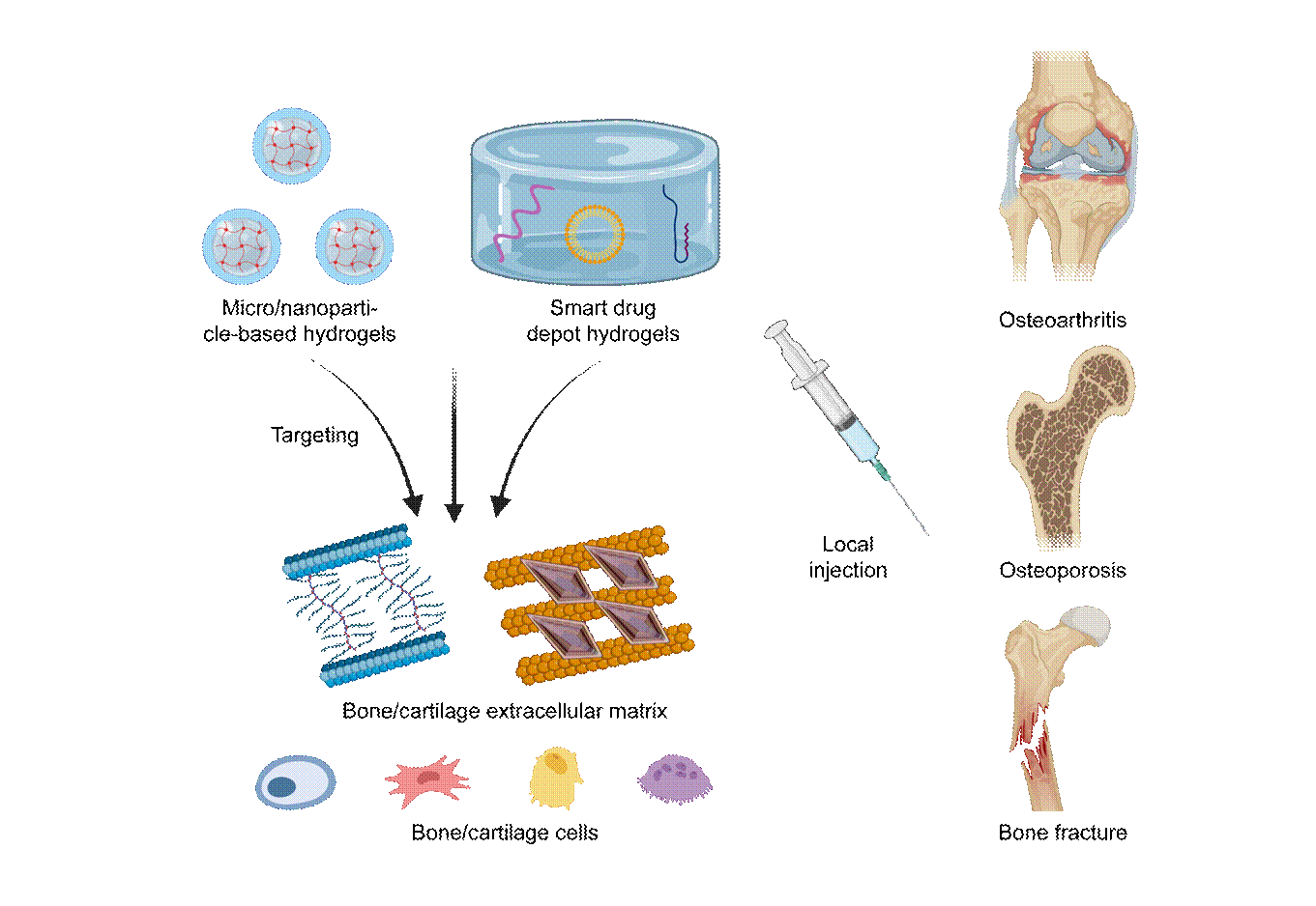 Graphical Abstract